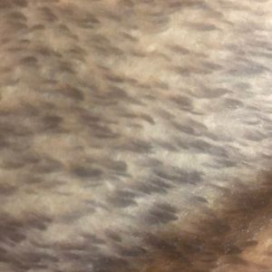 Meet your Posher, Trudy